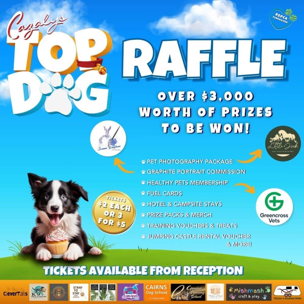 Raffle Tickets on Sale Now! | Cazalys