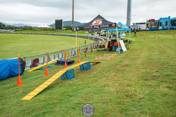 Cairns Dog School Agility Equipment
