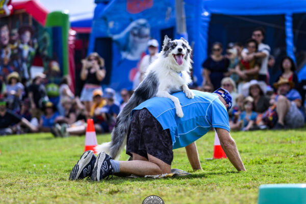 Doggo on Mans Back