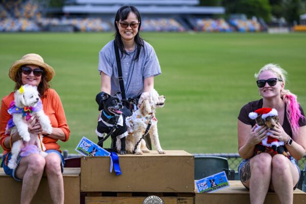 Dressed to the K9s Winners