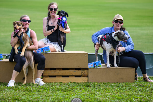 Happiest Hound Winners