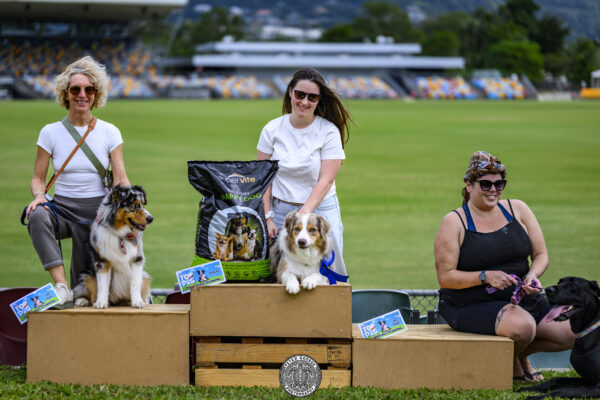 Pawsitevly Stunning Winners